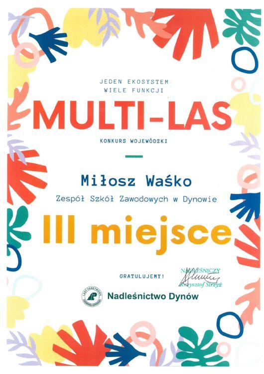 Multi - Las - Milosz Wasko - III miejsce..jpg